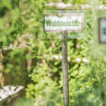 Alpenhof Kristall 호텔 메이른호픈