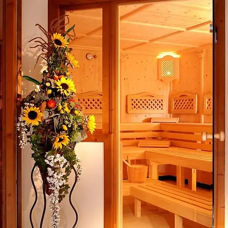 فندق Alpenhof Kristall مايرهوفن